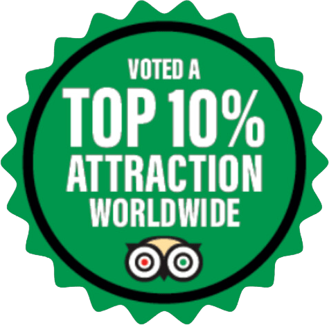 Trip advisor award logo presented to companies that achieve excellence in outdoor activities all over the world